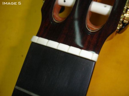 Ebony-reinforcement-5