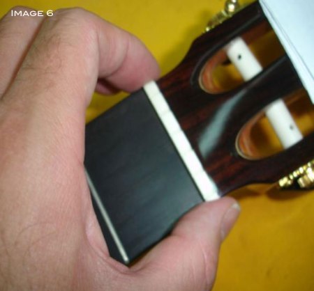 Ebony-reinforcement-6